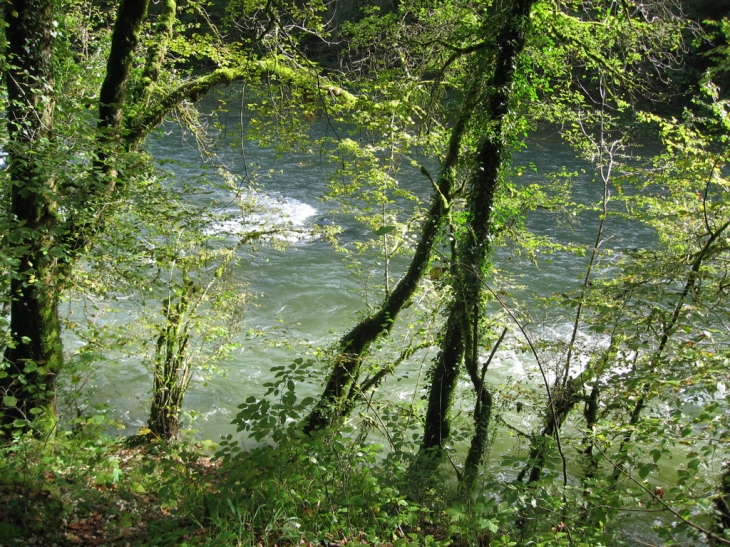 Le Doubs entre Goumois et La Goule - Charmauvillers