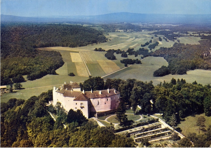 Chateau de Chatillon - Châtillon-sur-Lison