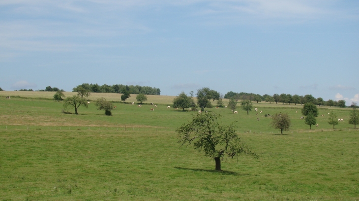 Vue nord est du village - Étrappe