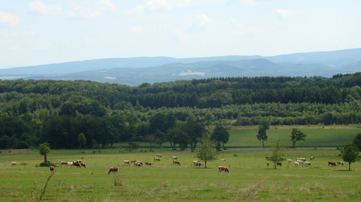 Le lomont vu des haut d'etrappe - Étrappe