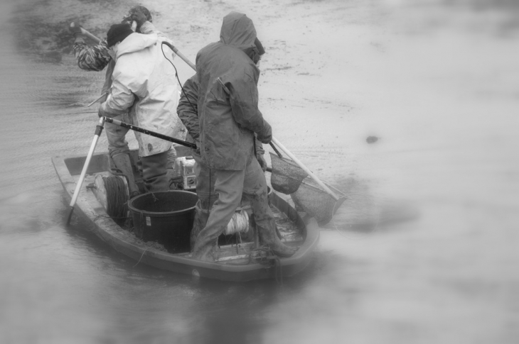 La pêche électrique.Etang de Frasne