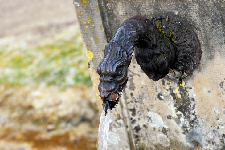 Détail d'un fontaine - Gondenans-les-Moulins