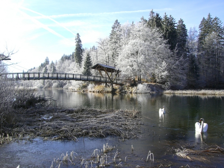 Petit pont de bois à Chaon - Malbuisson