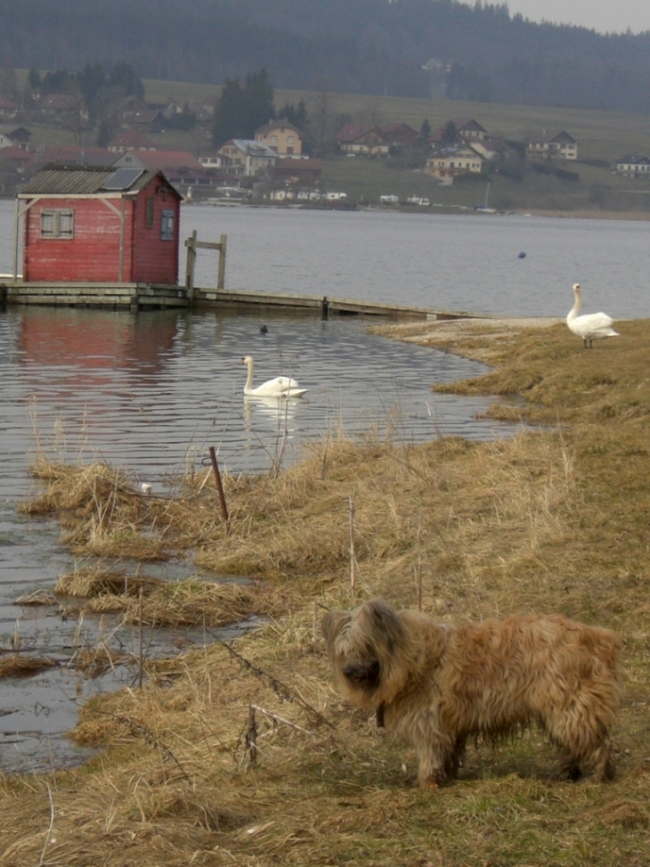 Animaux et cabane de Malbuisson