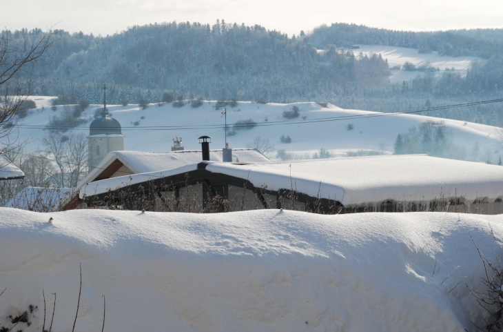 Nods sous la neige (cl.desgroppes)