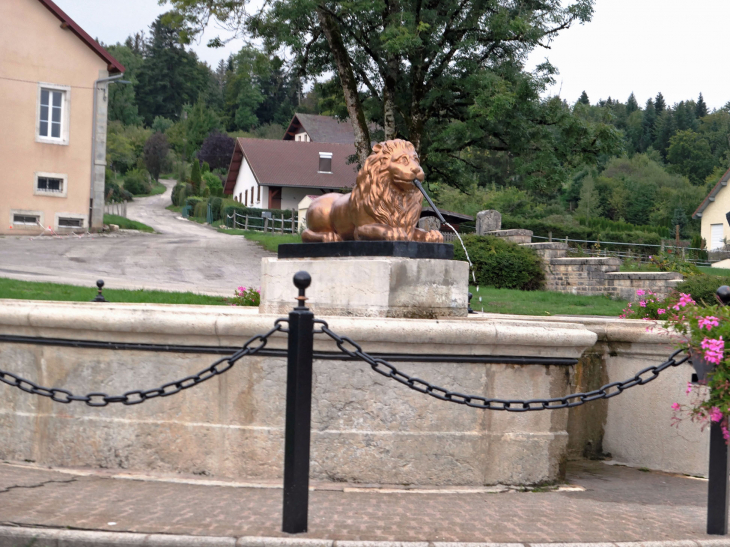 La fontaine au lion - Passonfontaine