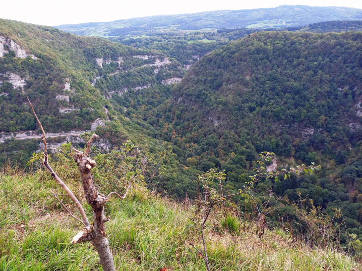 Le belvédère : vue sur les gorges de la Loue - Renédale