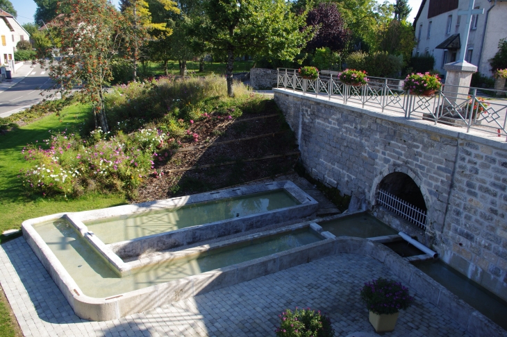 Inauguration de la fontaine après travaux - Saules