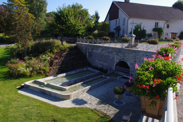 La fontaine nouvelle version - Saules