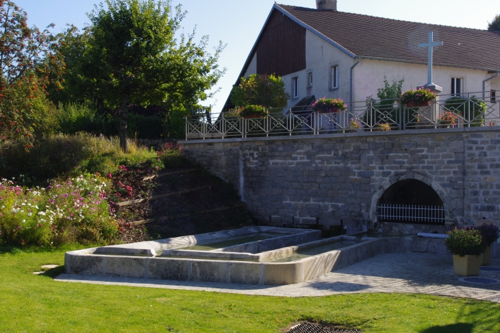 Fontaine nouvelle - Saules