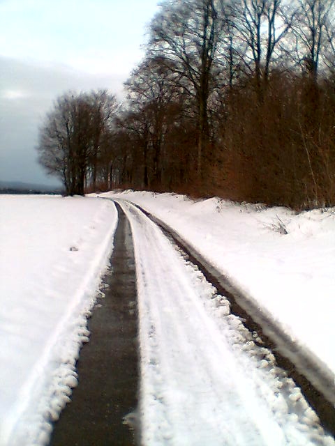 Chemin des Rappes sous la neige - Saules