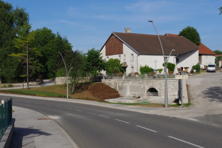 La-fontaine-en-cours-de-rehabilitation - Saules