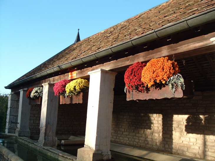 La fontaine-lavoir - Tallenay