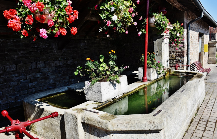 Lavoir - Alaincourt