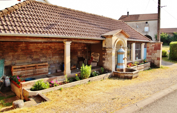 Le Lavoir - Ambiévillers