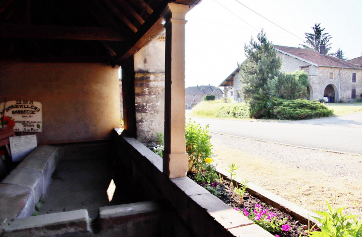 Le Lavoir - Ambiévillers