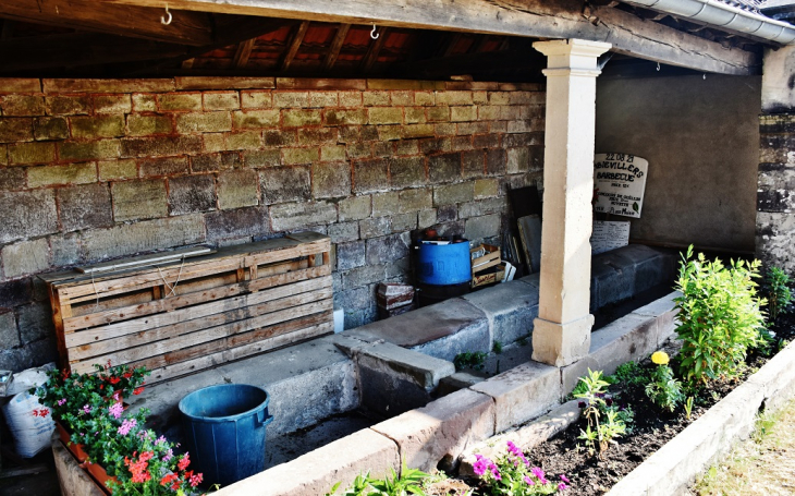 Le Lavoir - Ambiévillers