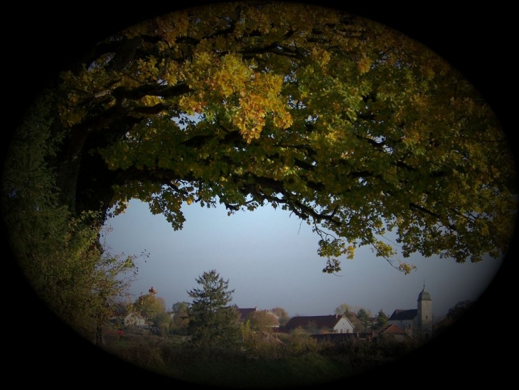 Village vu du vieux chêne - Angirey