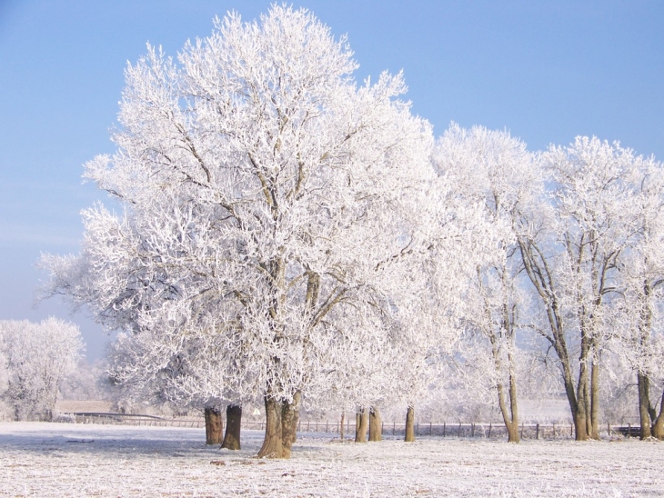 L'hiver chez nous - Angirey