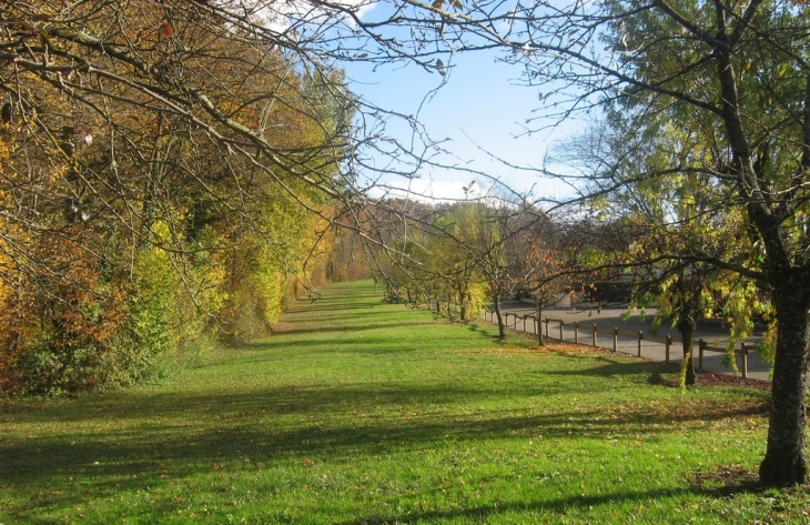 Espace verdure - Angirey