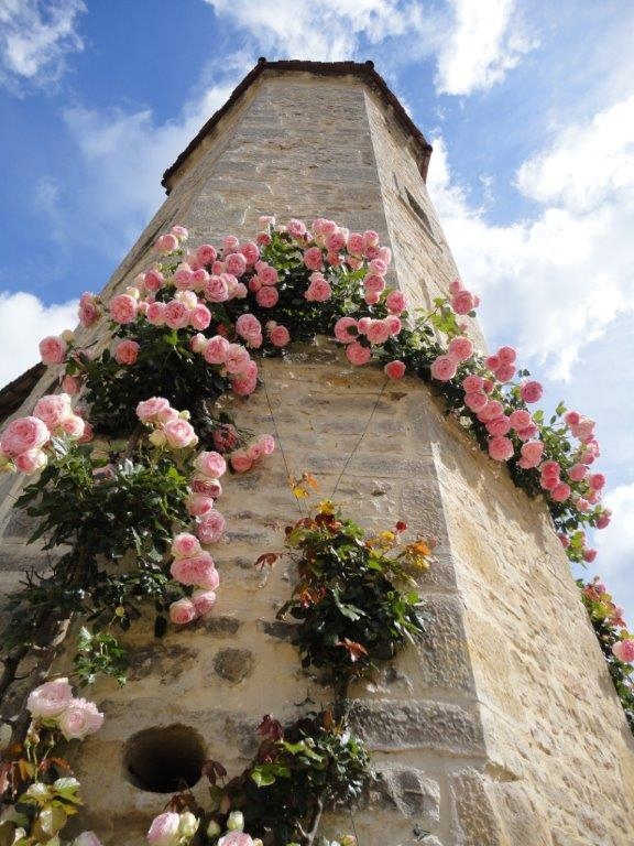 La tour de Bouhans et Feurg (Habitat manoir XV et tour XVII) - Bouhans-et-Feurg