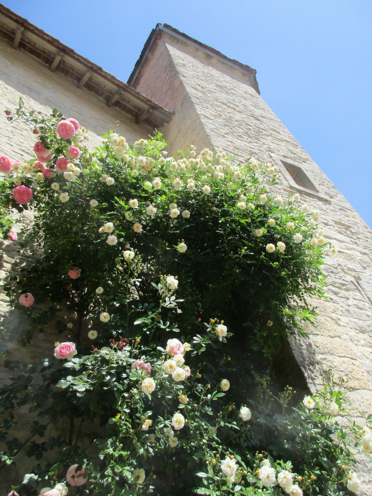 Les roses et la tour - Bouhans-et-Feurg