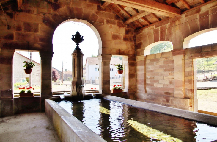 Fontaine-Lavoir - Citers