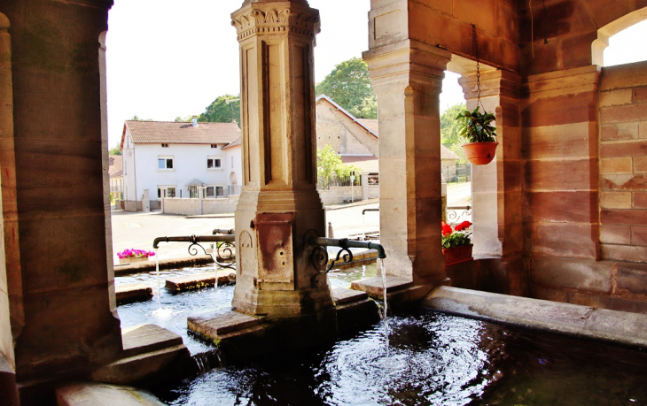 Fontaine-Lavoir - Citers