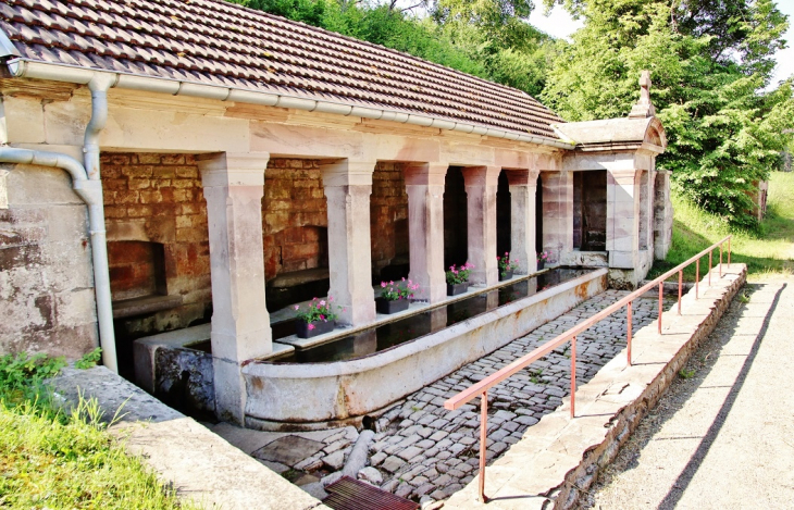 Fontaine-Lavoir - Citers