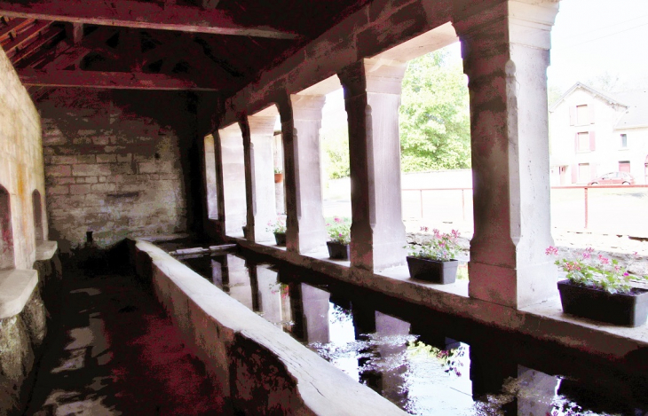 Fontaine-Lavoir - Citers