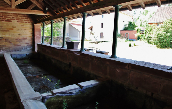 Lavoir - Cuve