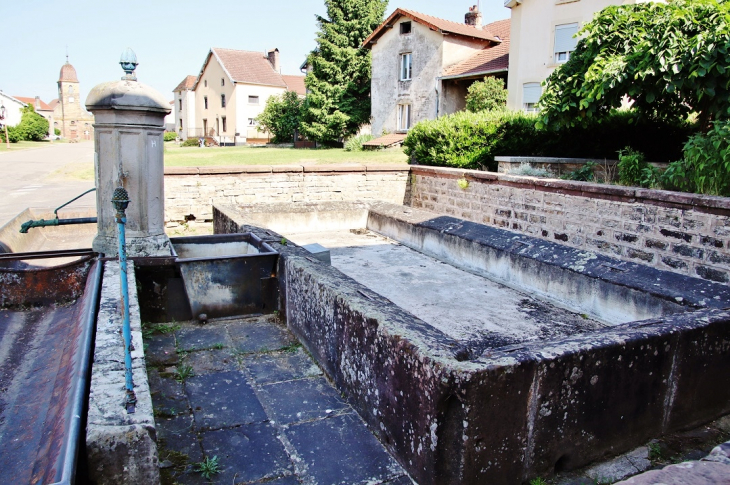 Fontaine-Lavoir - Dampierre-lès-Conflans