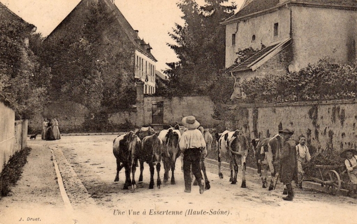 Rue de l'eglise - Essertenne-et-Cecey