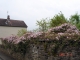 Photo précédente de Fleurey-lès-Faverney Clématite