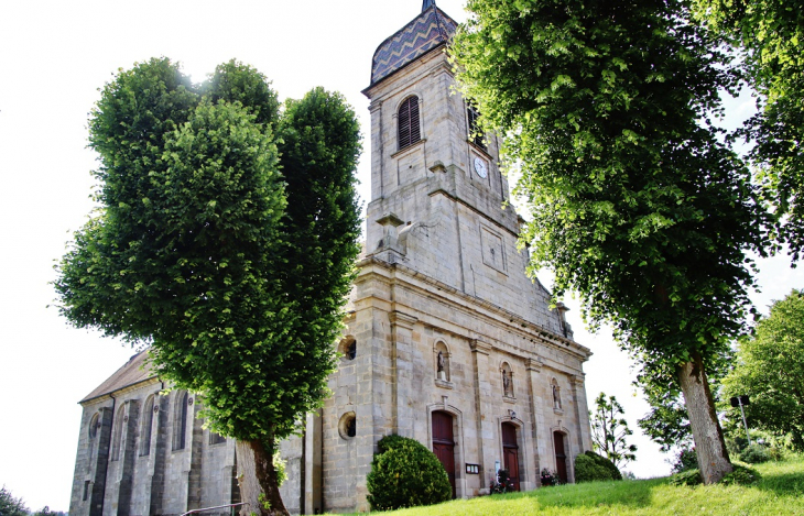 ''église St ferreol - Gevigney-et-Mercey