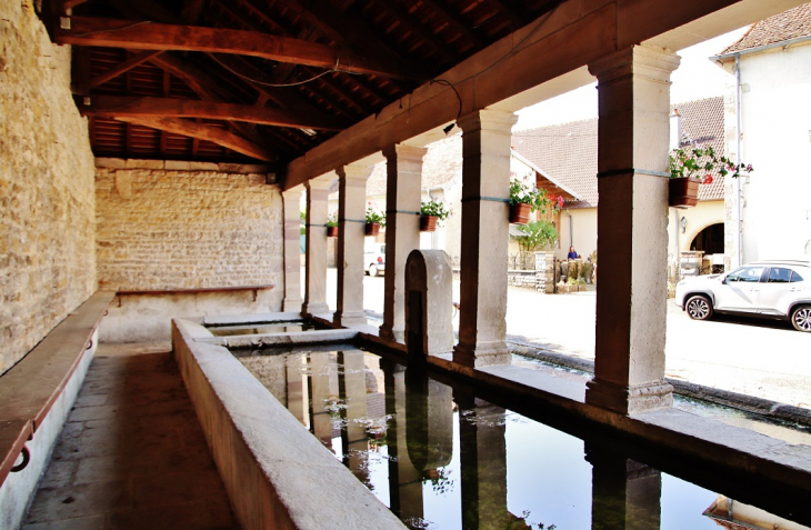 Fontaine-Lavoir - Jasney