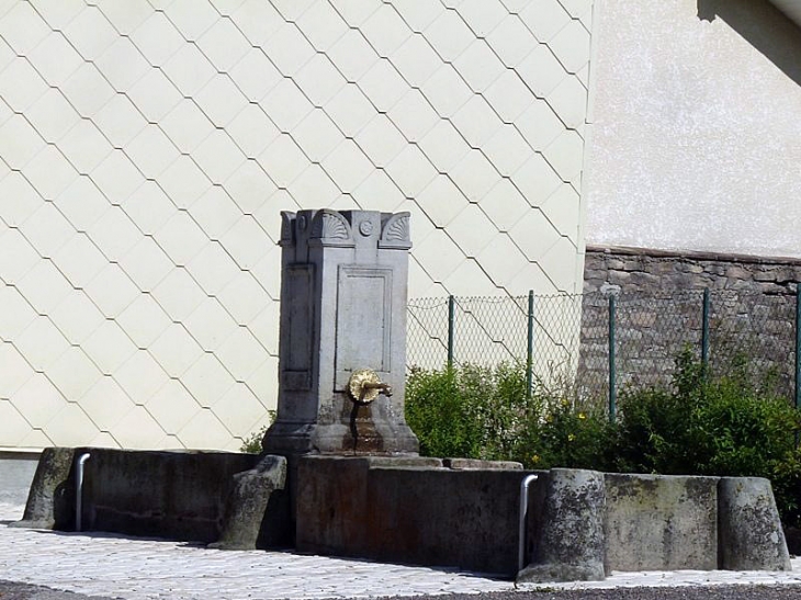 La fontaine - La Proiselière-et-Langle