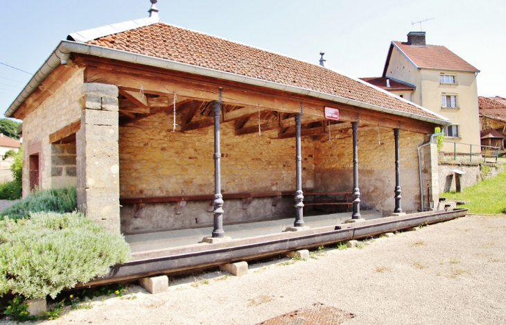 Le Lavoir - Magny-lès-Jussey