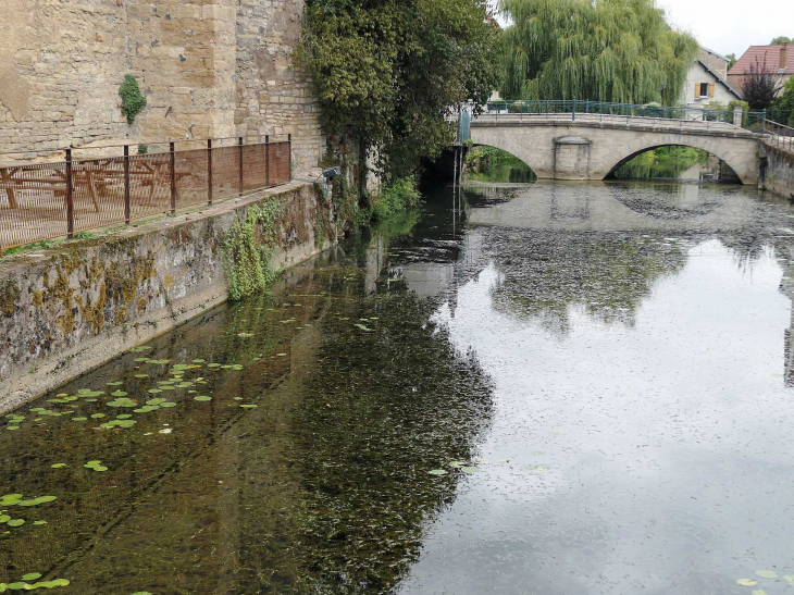 L'Ognon - Marnay