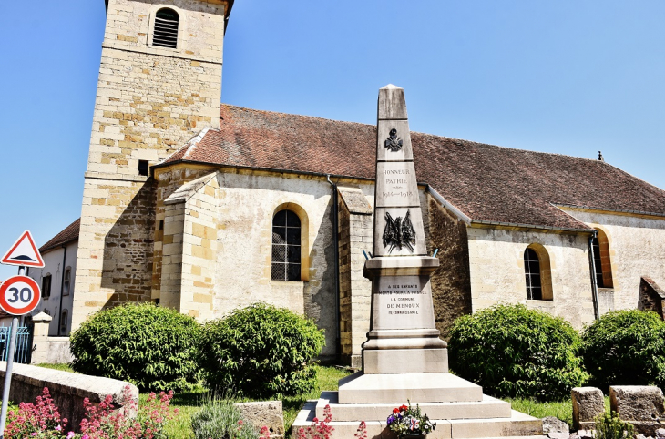 'église St Julien - Menoux