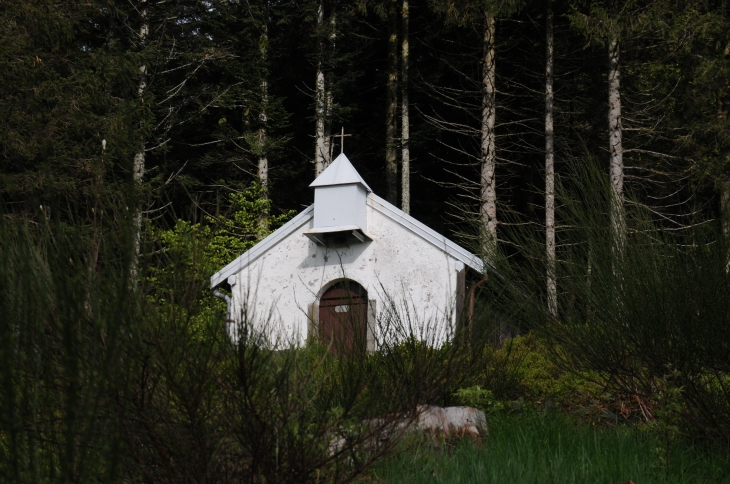 La chapelle Saint Blaise est à 900m d'altitude dans la forêt - Miellin