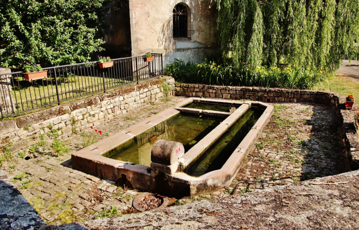 Lavoir - Montcourt