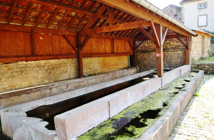 Lavoir - Montcourt