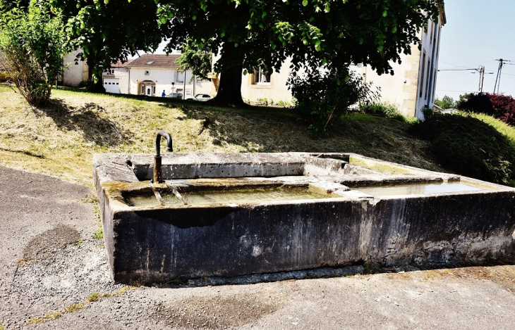 Le Lavoir - Saponcourt