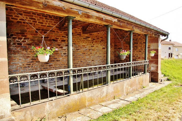 Le Lavoir - Selles