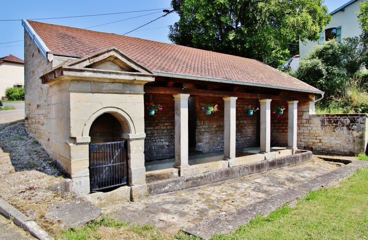 Le Lavoir - Tartécourt