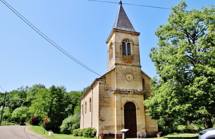 ''église St Charles - Tartécourt