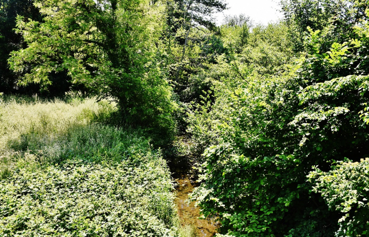 Riviere de Magny - Tartécourt