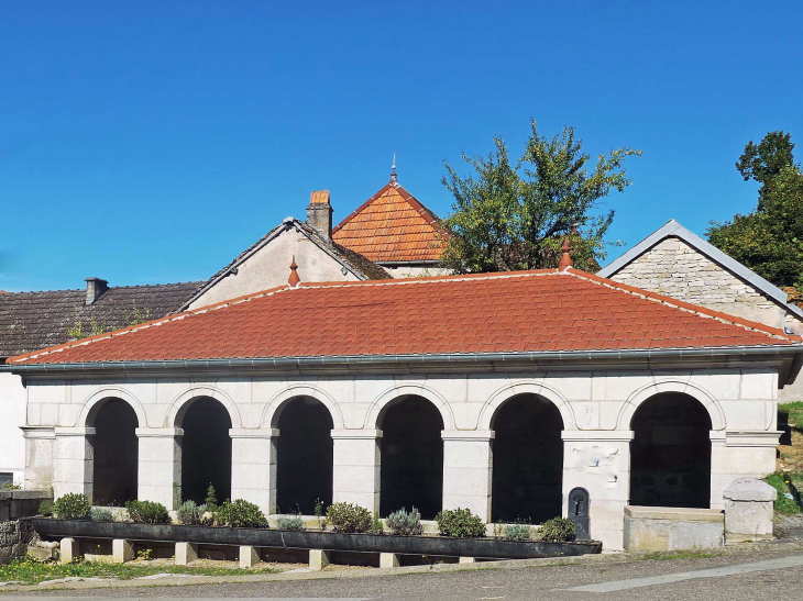 Le lavoir abreuvoir - Vellefrey-et-Vellefrange