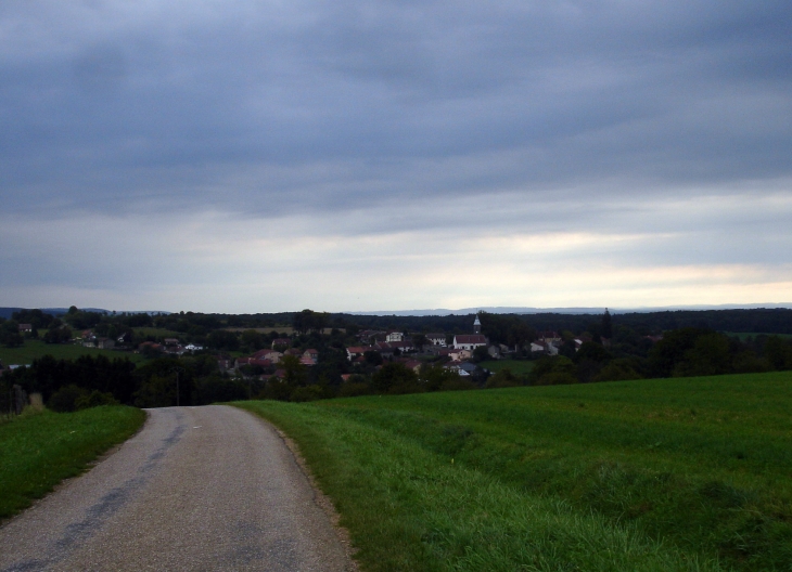 Vue générale de la route de Montcourt - Vougécourt